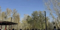 В восточной части Национального парка культуры и отдыха Республики Тыва движение «Добрые Сердца Тувы» организовало масштабный экосубботник. - Администрация г. Кызыл
