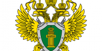 Уголовная ответственность за вандализм. - Администрация Немецкого национального района