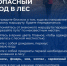 Безопасный поход в лес.. - Козульский район