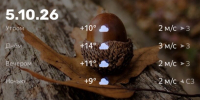 Screenshot - ЗА Новомосковск