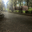 image_jpegcharsetutf-81.jpeg - МВД Республики Алтай