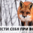 Изображение без описания. - Миасский городской округ