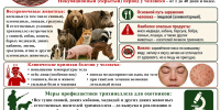 Памятка для населения и охотников о профилактике трихинеллеза - Департамент ветеринарии