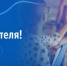 С Днём учителя! - Законодательное Собрание