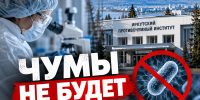 Фото сгенерировано нейросетью - НИА