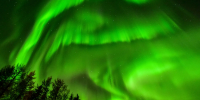 Фото: Shipov Alexander / Shutterstock / Fotodom - Красный Север