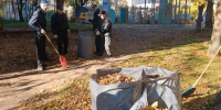 Управляющие компании Вологды присоединились к месячнику благоустройства - OnlineVologda.Ru