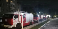 За неделю сотрудники МЧС России ликвидировали 117 пожаров и спасли 9 человек - МЧС Новосибирской области