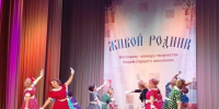 СОСТОЯЛСЯ ФЕСТИВАЛЬ-КОНКУРС ТВОРЧЕСТВА «ЖИВОЙ РОДНИК». - Городской округ Вичуга