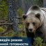 Тувинская полиция застрелила медведя в городском парке Кызыла. Фото: охотнадзор Тувы - Седьмой канал