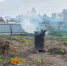 Фото Нины Щербаковой - Tumentoday.Ru