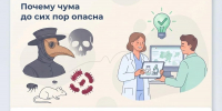 Почему чума до сих пор опасна - Народное слово