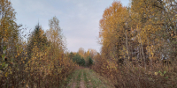 В двух городах Вологодской области побиты температурные рекорды - Gorodvo.Ru