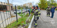 Хвойная аллея появилась у пожарной части в Хабаровске - Gubernia.Com