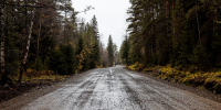 Фото: Пресс-служба КрУДора - НИА