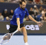 Теннисист Медведев вернулся в топ-5 ATP - ИА Татар-информ
