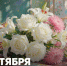 image-Поздравление Министра просвещения РФ Сергея Кравцова с Днём учителя - Департамент образования и науки