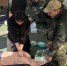 В память о герое Приморья: во Владивостоке прошла олимпиада по первой помощи имени Александра Иваровского - Администрация Приморского края