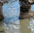 Фото: OlhaTsiplyar/Shutterstock/Fotodom - Ямал-Медиа