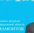Денис Мамонтов встретится с уральскими студентами в рамках проекта «ГосСтарт.Диалог» - Министерство природных ресурсов