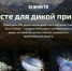 Проект «Вместе для дикой природы» объединяет регионы России в защите редких видов животных и растений - Минприроды Ростовской области