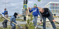 В Новом Уренгое высадили деревья в честь учителей - Единая Россия