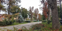 Фото: НИА Кубань - НИА-Кубань