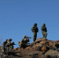 Financial Times: Эстония перебрасывает войска и вооружение к границе с Россией - Online47.Ru