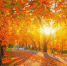 Фото: sun ok / Shutterstock / Fotodom - Красный Север