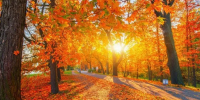 Фото: sun ok / Shutterstock / Fotodom - Красный Север