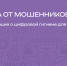 На Госуслугах запущен сервис «Защита от мошенников в сети» - Molodost.Ru