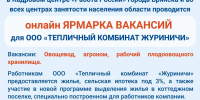 В Стародубском округе пройдёт онлайн ярмарка вакансий - Стародубский Вестник