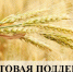 грант на развитие фермерского хозяйства - фото - 1 - Администрация Вяземского района