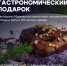 Празднуем юбилей Мурманска! - Город Мончегорск