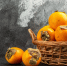 В Краснодарский край не пустили хурму с карантинным вредителем - Кубанские Новости