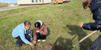 Школы Барнаула проводят цикл мероприятий в рамках проекта «Чистый воздух» - Администрация г. Барнаул
