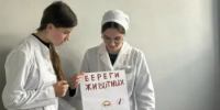 СОВЕТНИК В ДЕЛЕ - ООМК