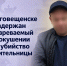 В Благовещенске задержан подозреваемый в покушении на убийство сожительницы - Следственный комитет