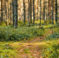 Картинка - Regions.Ru