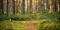 Картинка - Regions.Ru