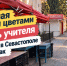 Без букетов к учителю: в Севастополе спрос на цветы к празднику упал почти до минимума - SevKor.Ru