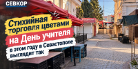 Без букетов к учителю: в Севастополе спрос на цветы к празднику упал почти до минимума - SevKor.Ru