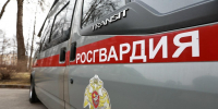 Росгвардейцы в Псковской области задержали похитителей алкоголя и продуктов - Pln-Pskov.Ru