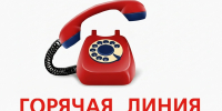 Плакат с изображением красного стационарного телефона и надписью «ГОРЯЧАЯ ЛИНИЯ» - 168.Ru