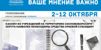 Голосование «Какому из учреждений образования на территориях Сосновоборского округа наиболее необходимы средства краевой субсидии?». - Город Сосновоборск