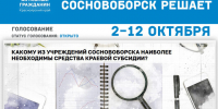 Голосование «Какому из учреждений образования Сосновоборска наиболее необходимы средства краевой субсидии?». - Город Сосновоборск