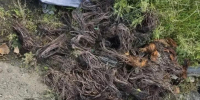 В Курской области полицейские обнаружили в автомобиле похищенный медный кабель - Курские Известия