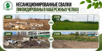 Две несанкционированные свалки ликвидированы в Набережных Челнах - Министерство экологии