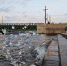 Уровень воды в Неве повысится 6 октября из-за ураганного ветра - Комсомольская правда