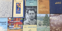 Книги С.К. Никитина - Научная библиотека